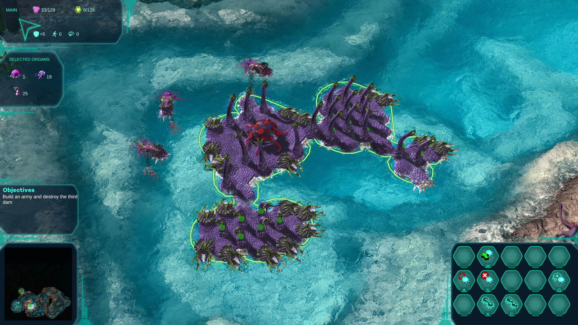 莫度战争/Moduwar